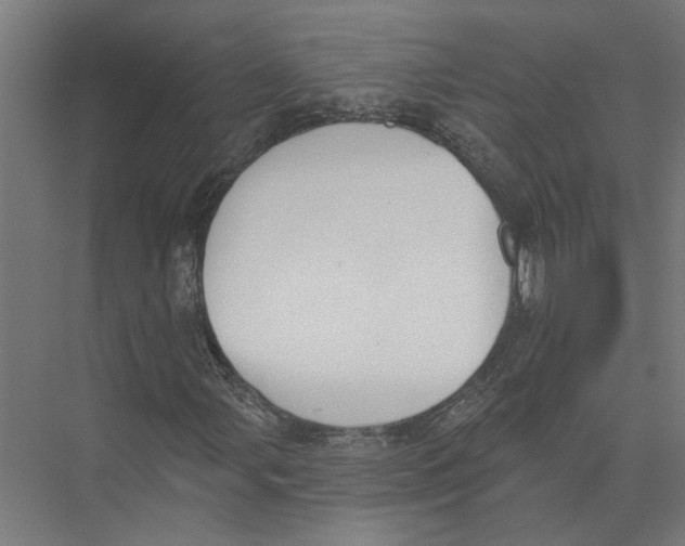 X0000075351107200610061713