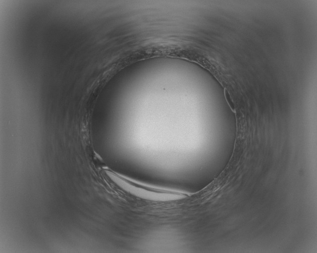 X0000075351109200610061713