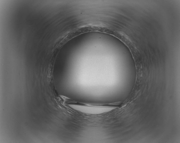 X0000075351110200610061713