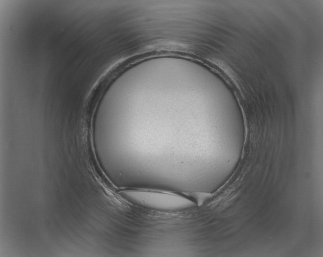 X0000075351115200610061713