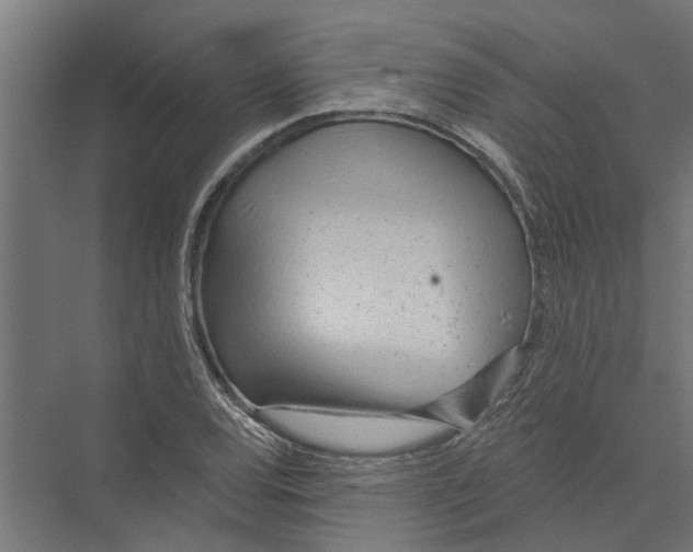 X0000075351120200610061714