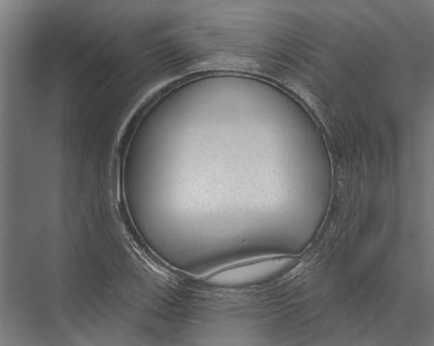 X0000075351123200610061714