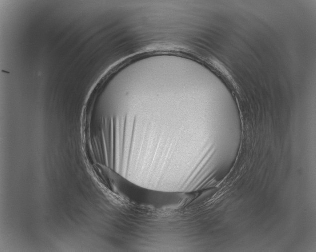 X0000075351124200610061714