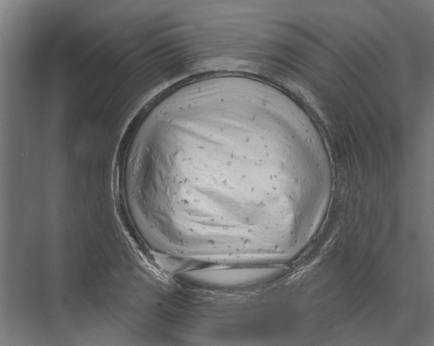 X0000075351125200610061714