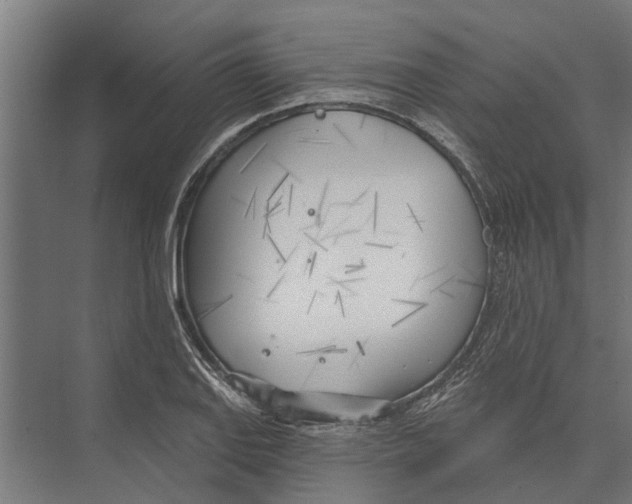 X0000075351127200610061714