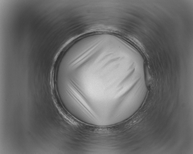 X0000075351128200610061714