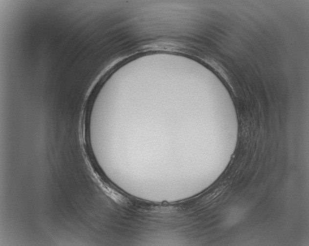 X0000075351131200610061714