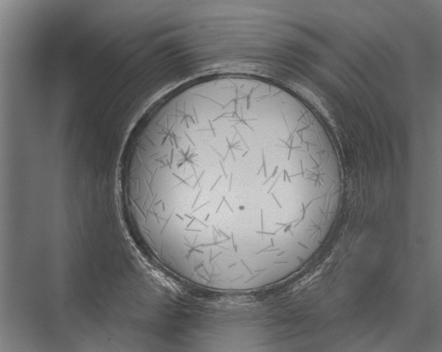 X0000075351133200610061714