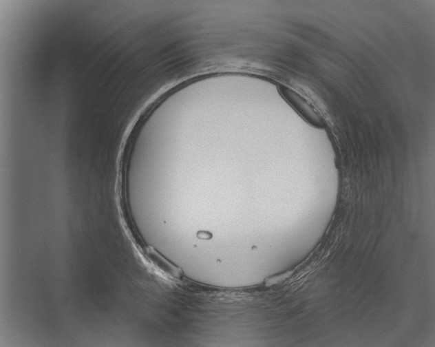 X0000075351136200610061714