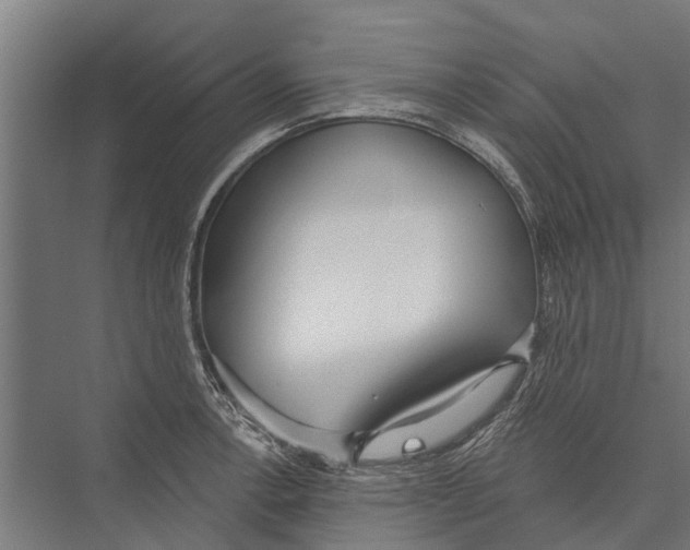 X0000075351138200610061714