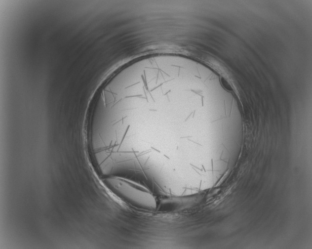 X0000075351141200610061714