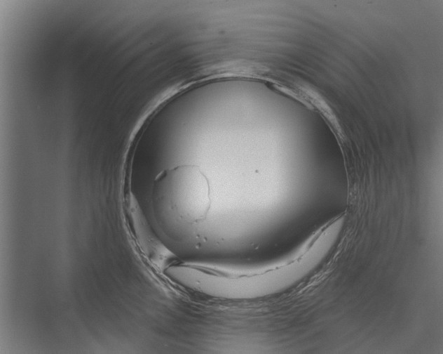 X0000075351146200610061714