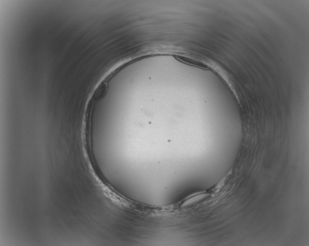 X0000075351147200610061714