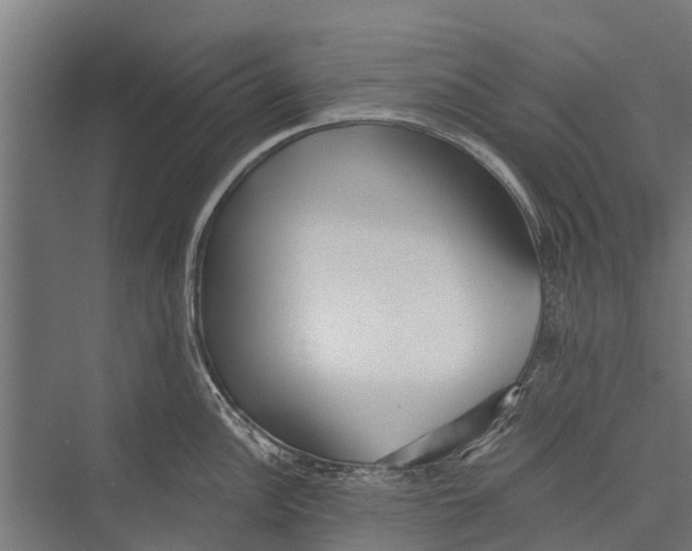 X0000075351148200610061714