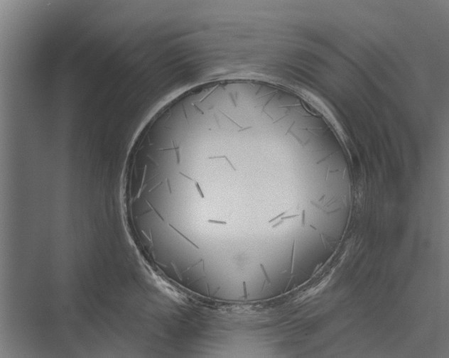 X0000075351149200610061714