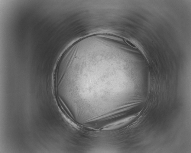 X0000075351151200610061714