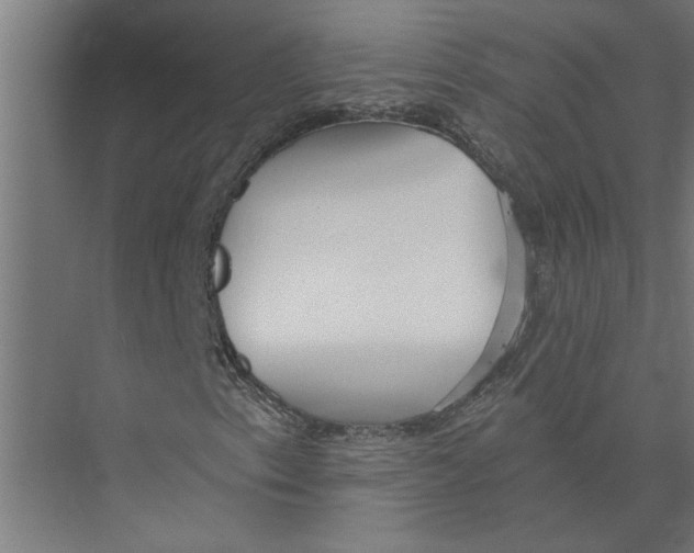 X0000075351153200610061713