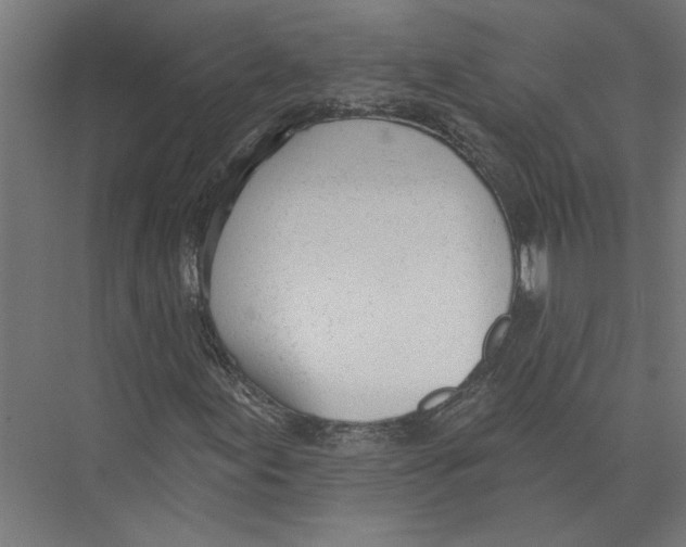 X0000075351155200610061713