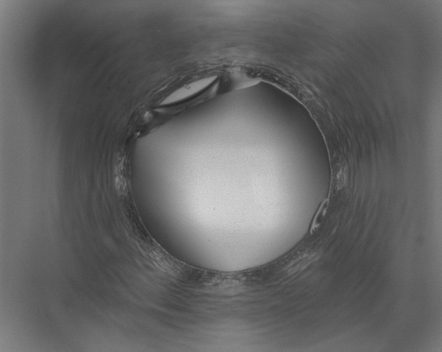 X0000075351156200610061713
