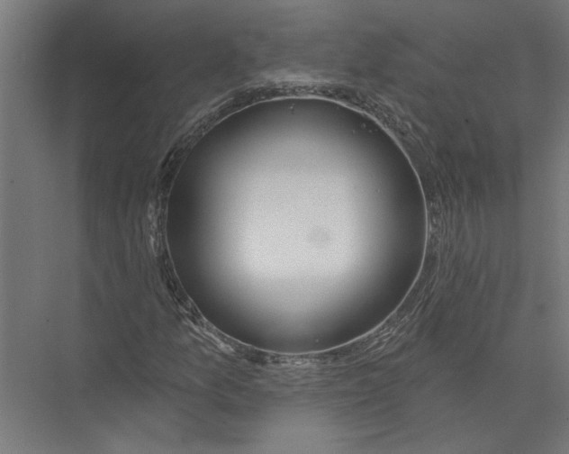 X0000075351157200610061713