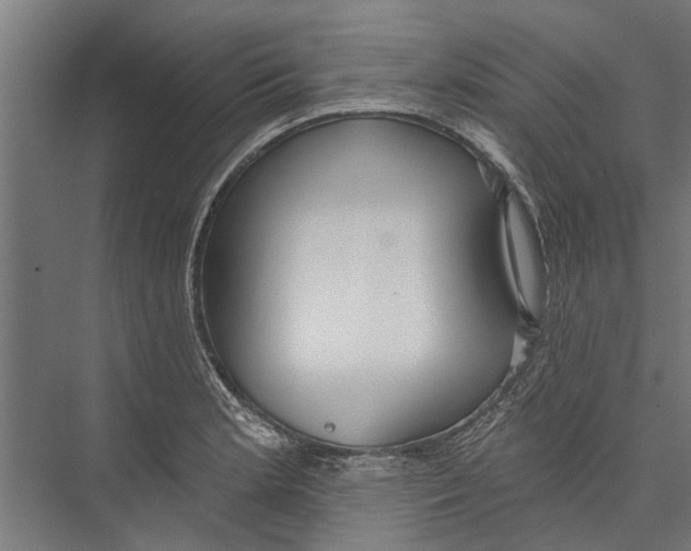 X0000075351181200610061713