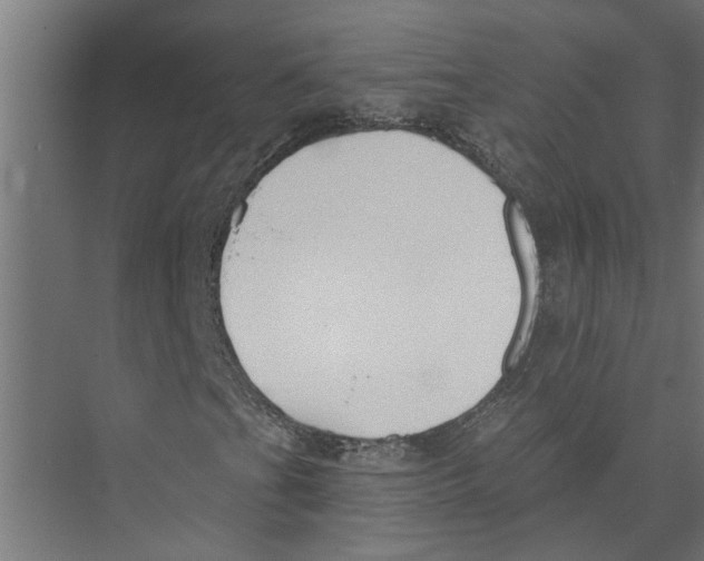 X0000075351201200610061712