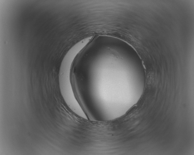 X0000075351202200610061712
