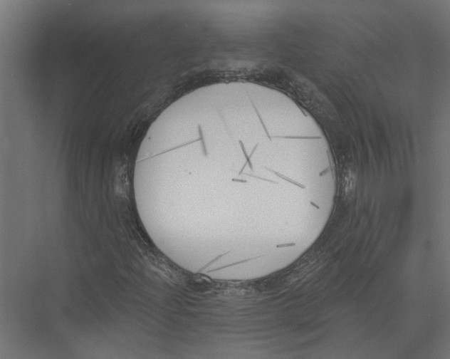 X0000075351204200610061712