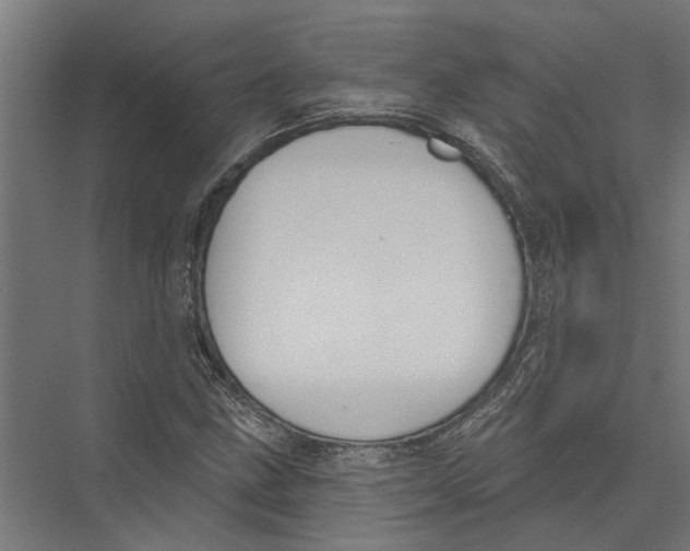 X0000075351211200610061712