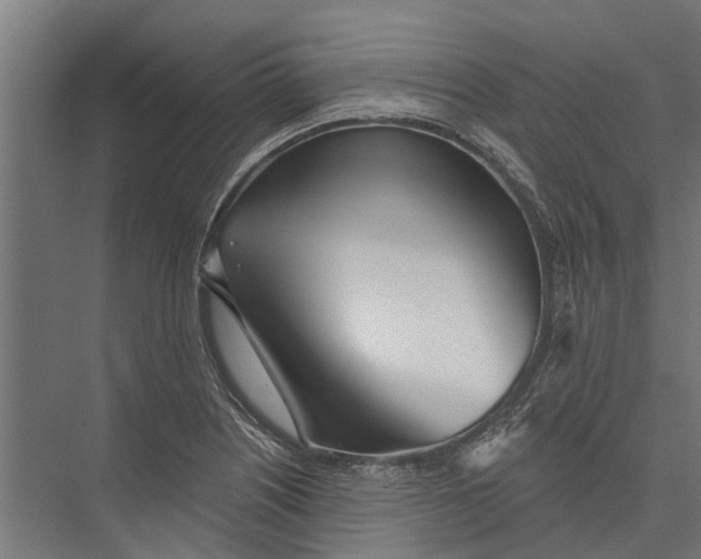 X0000075351226200610061712
