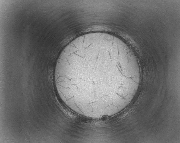 X0000075351233200610061712