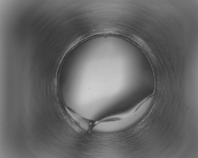 X0000075351234200610061712