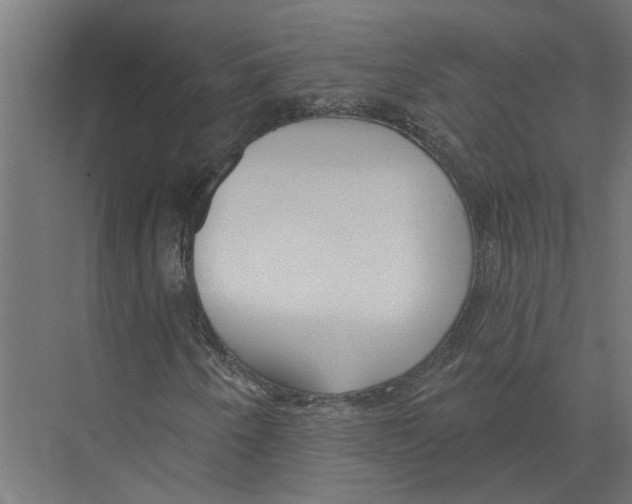 X0000075351250200610061712