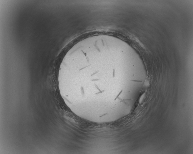 X0000075351256200610061712