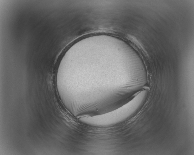 X0000075351260200610061711