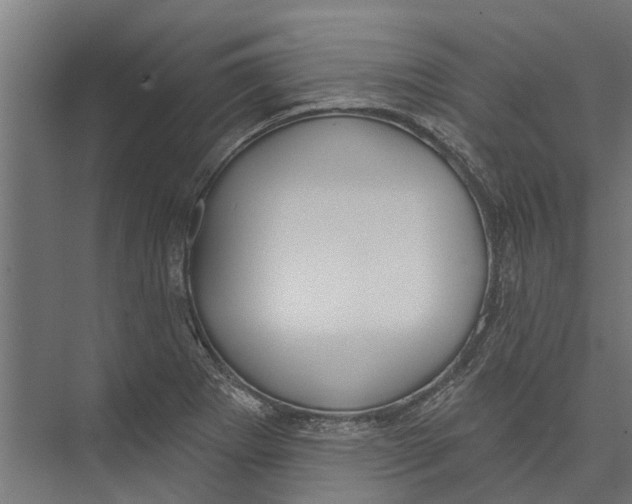 X0000075351273200610061711