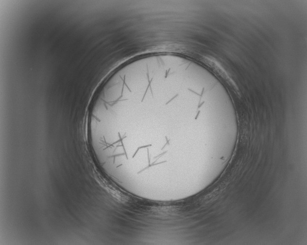 X0000075351276200610061711