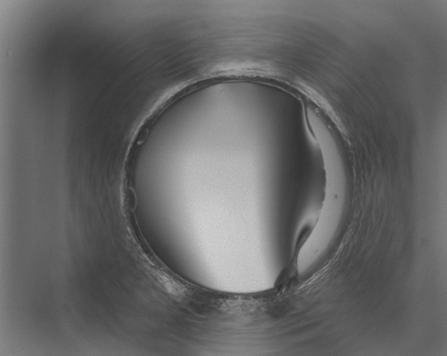 X0000075351277200610061711
