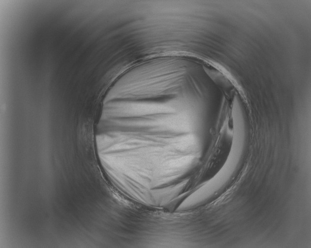 X0000075351289200610061711