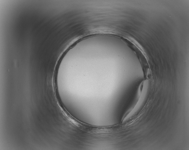 X0000075351293200610061711