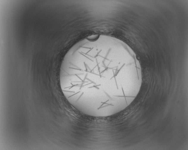 X0000075351297200610061710