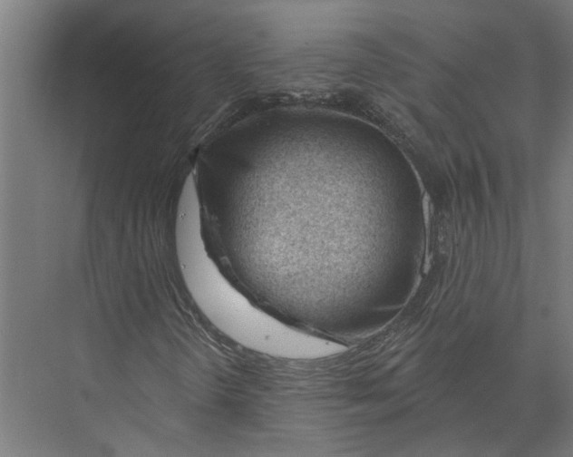 X0000075351298200610061710