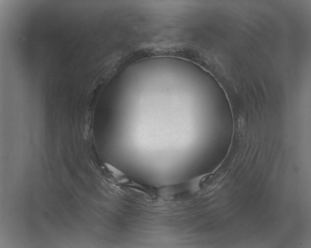 X0000075351300200610061710