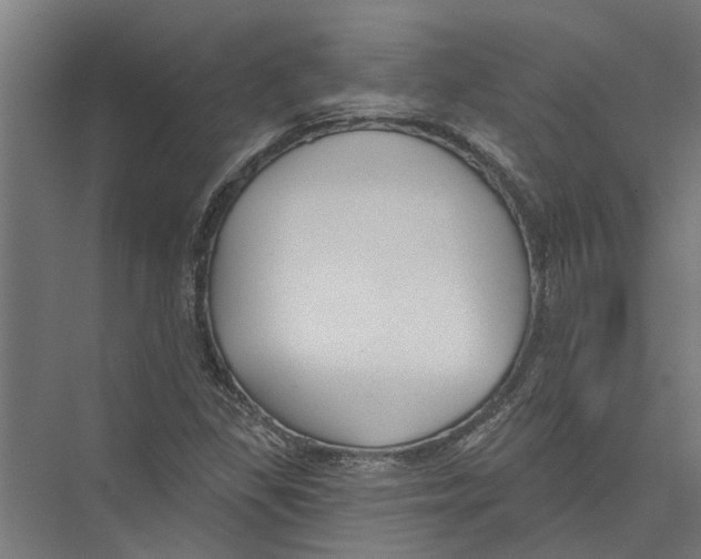 X0000075351309200610061710