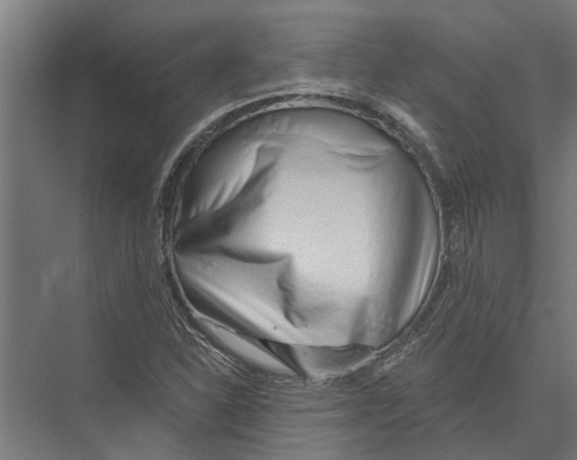 X0000075351310200610061710