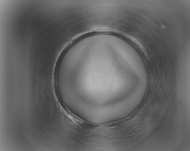 X0000075351327200610061711