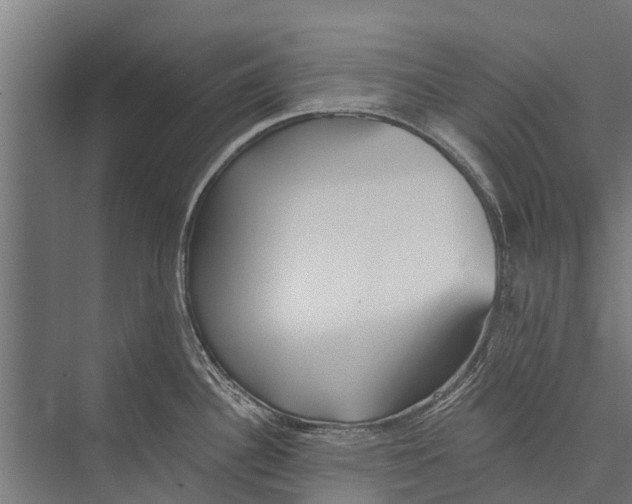 X0000075351340200610061711