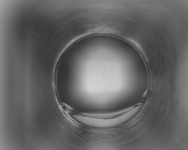 X0000075351342200610061711