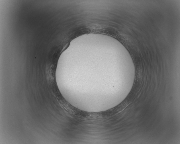 X0000075351346200610061710