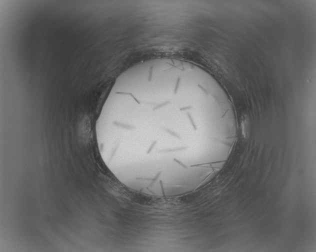 X0000075351347200610061710
